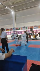 Concursul național din Oradea the W.S.E.K.U. 35th Bihor Open - 2nd WORLD EUROPEAN REGIONAL CHAMPIONSHIP Karate-Kobudo-Parakarate 4 FB IMG 1717955308148