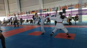 Concursul național din Oradea the W.S.E.K.U. 35th Bihor Open - 2nd WORLD EUROPEAN REGIONAL CHAMPIONSHIP Karate-Kobudo-Parakarate 9 FB IMG 1717955325151